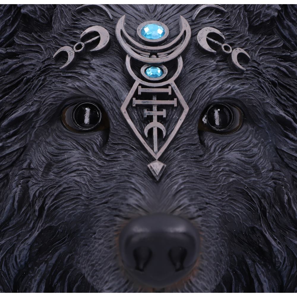 Dark Gothic Magical Wolf Moon Wall Hanging Plaque 30cm 5