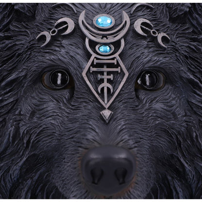 Dark Gothic Magical Wolf Moon Wall Hanging Plaque 30cm 5