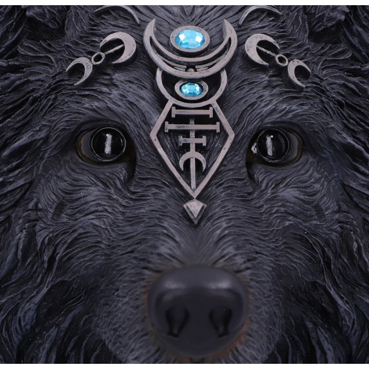 Dark Gothic Magical Wolf Moon Wall Hanging Plaque 30cm 5