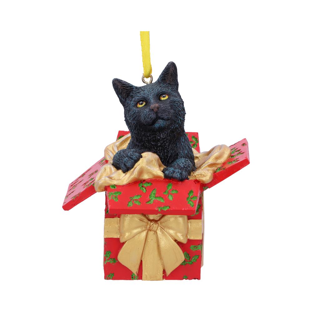 Present Cat Hanging Ornament 9cm by Lisa Parker Christmas Tree Decoration 1