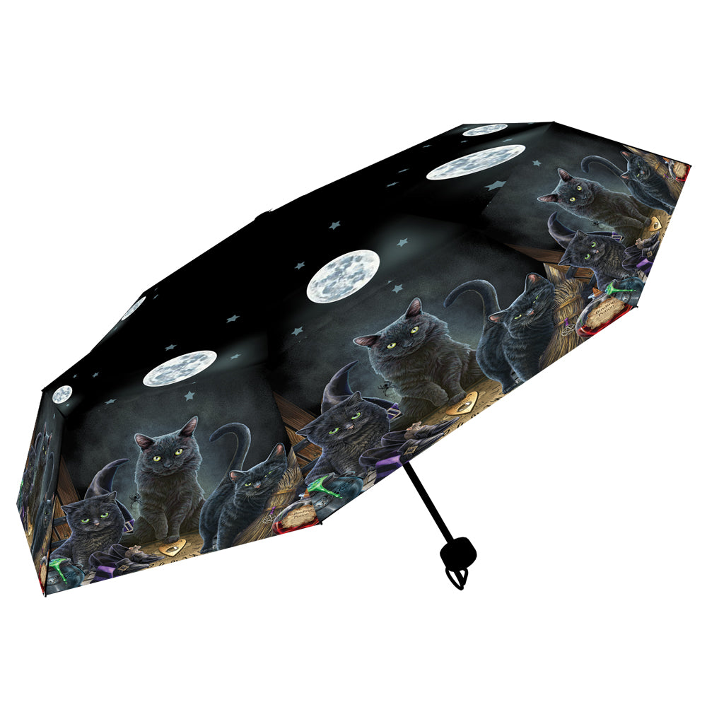 Lisa Parker Familiars Umbrella 1