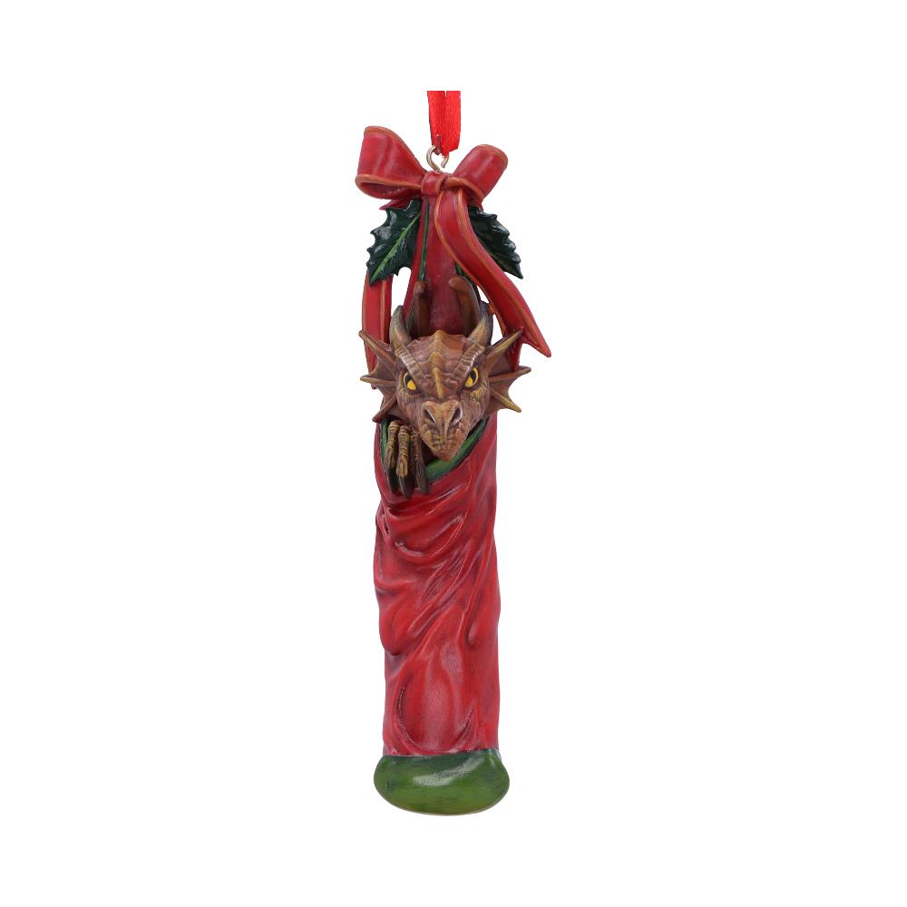 Magical Arrival Hanging Ornament 13.5cm by Anne Stokes 2