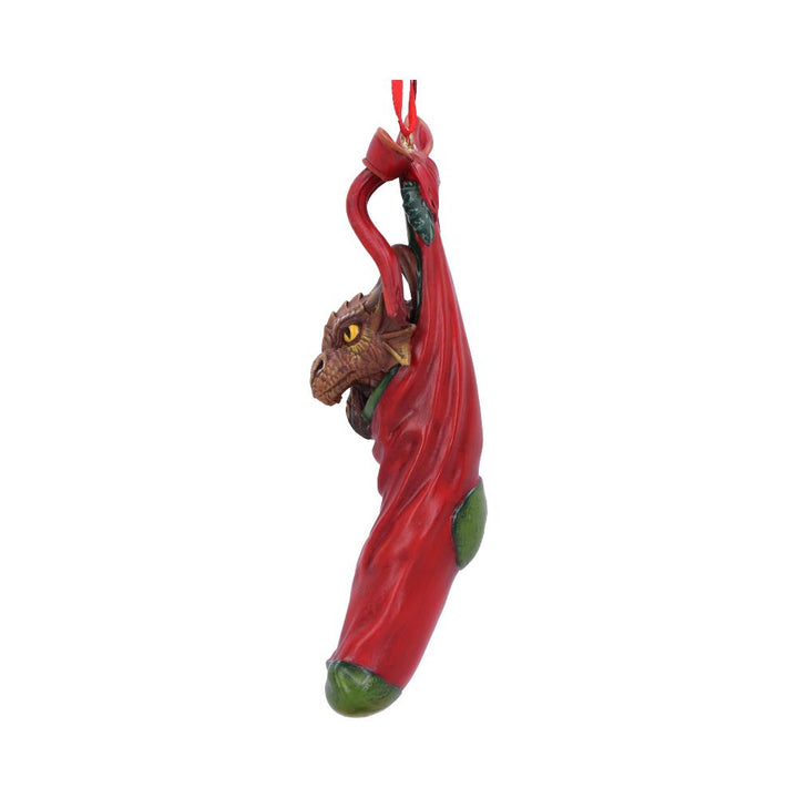 Magical Arrival Hanging Ornament 13.5cm by Anne Stokes 3