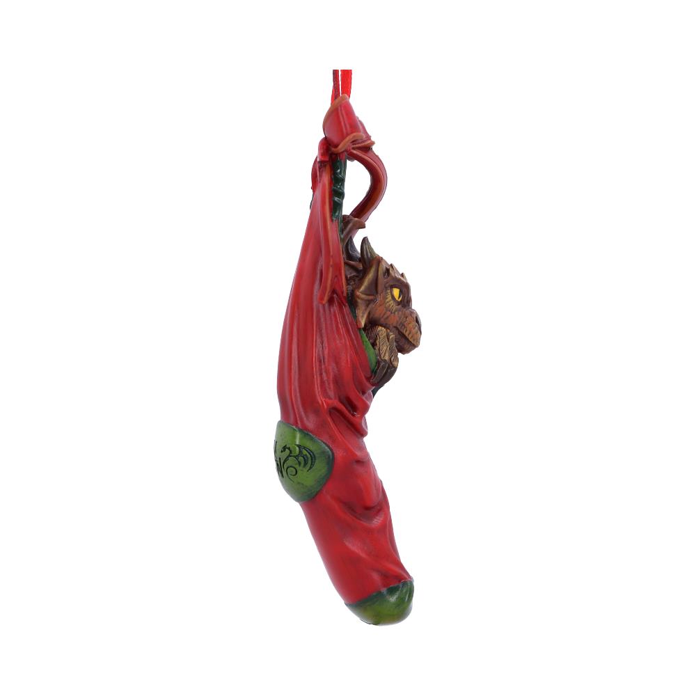 Magical Arrival Hanging Ornament 13.5cm by Anne Stokes 4