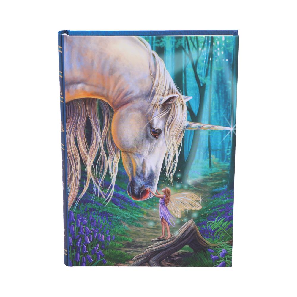 Lisa Parker Fairy Whispers Journal 17cm 1