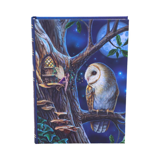 Lisa Parker Fairy Tales Journal 17cm 1