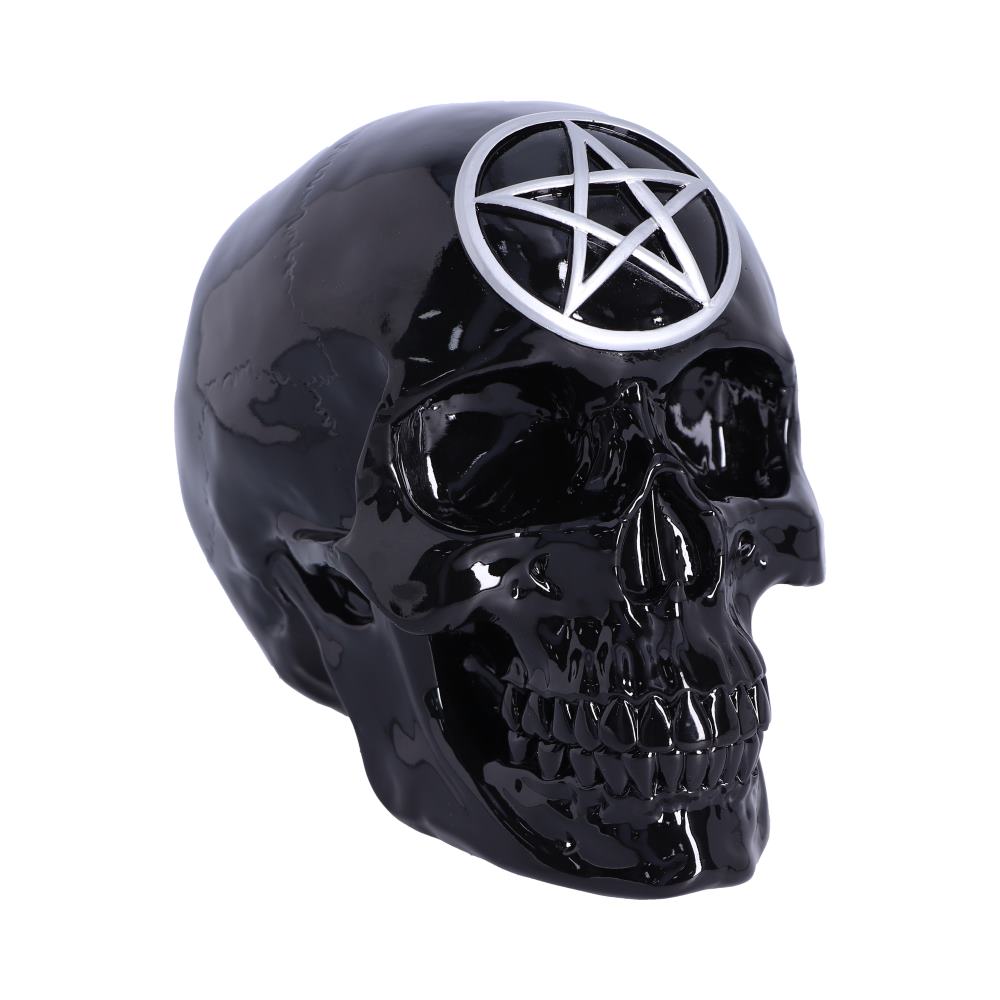 Black Magic Skull 19.5cm 1