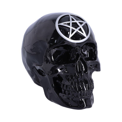 Black Magic Skull 19.5cm 1