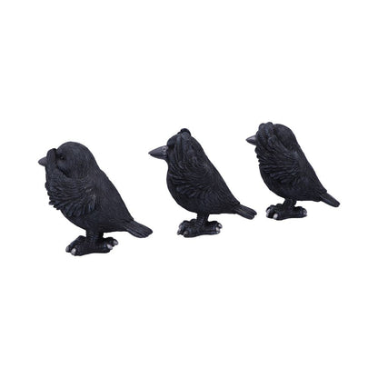 Three Wise Ravens Figurines 8.7cm 2