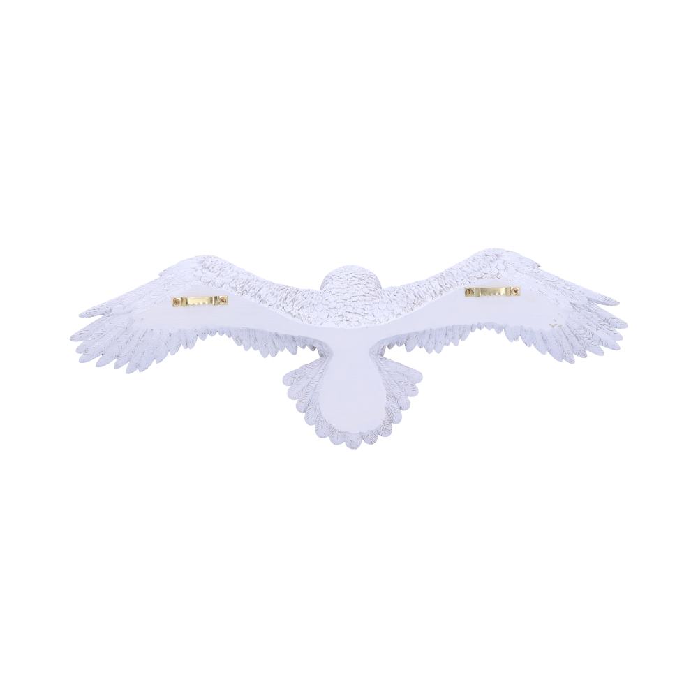 Harry Potter Hedwig Owl Wall Plaque 45cm 3