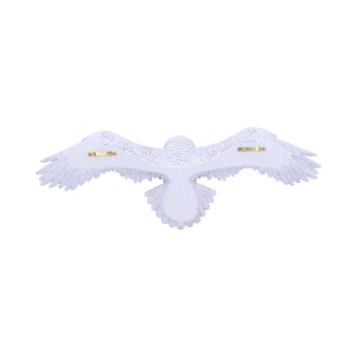 Harry Potter Hedwig Owl Wall Plaque 45cm 3