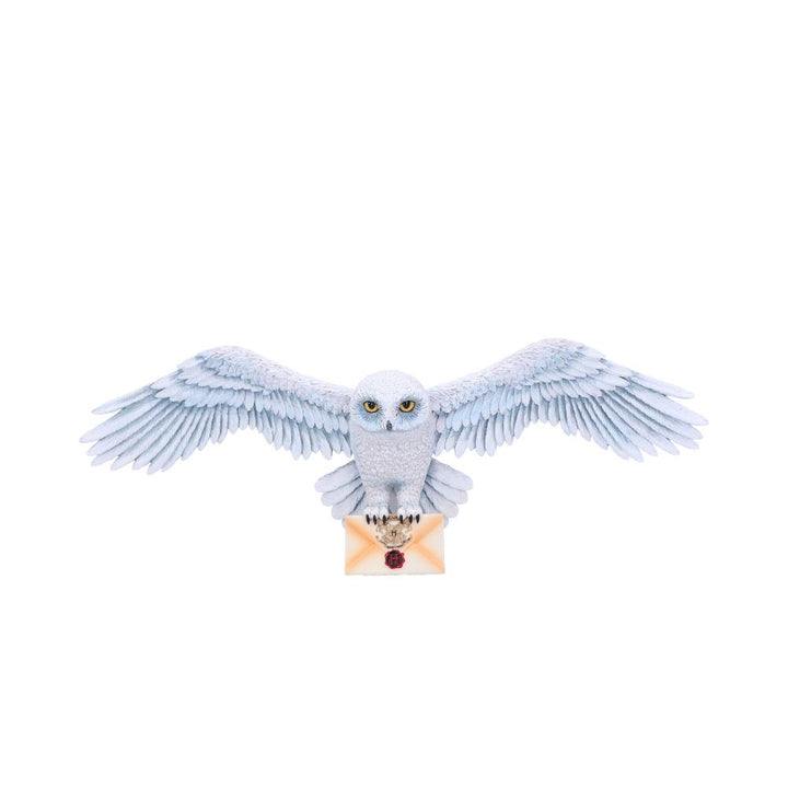 Harry Potter Hedwig Owl Wall Plaque 45cm 1