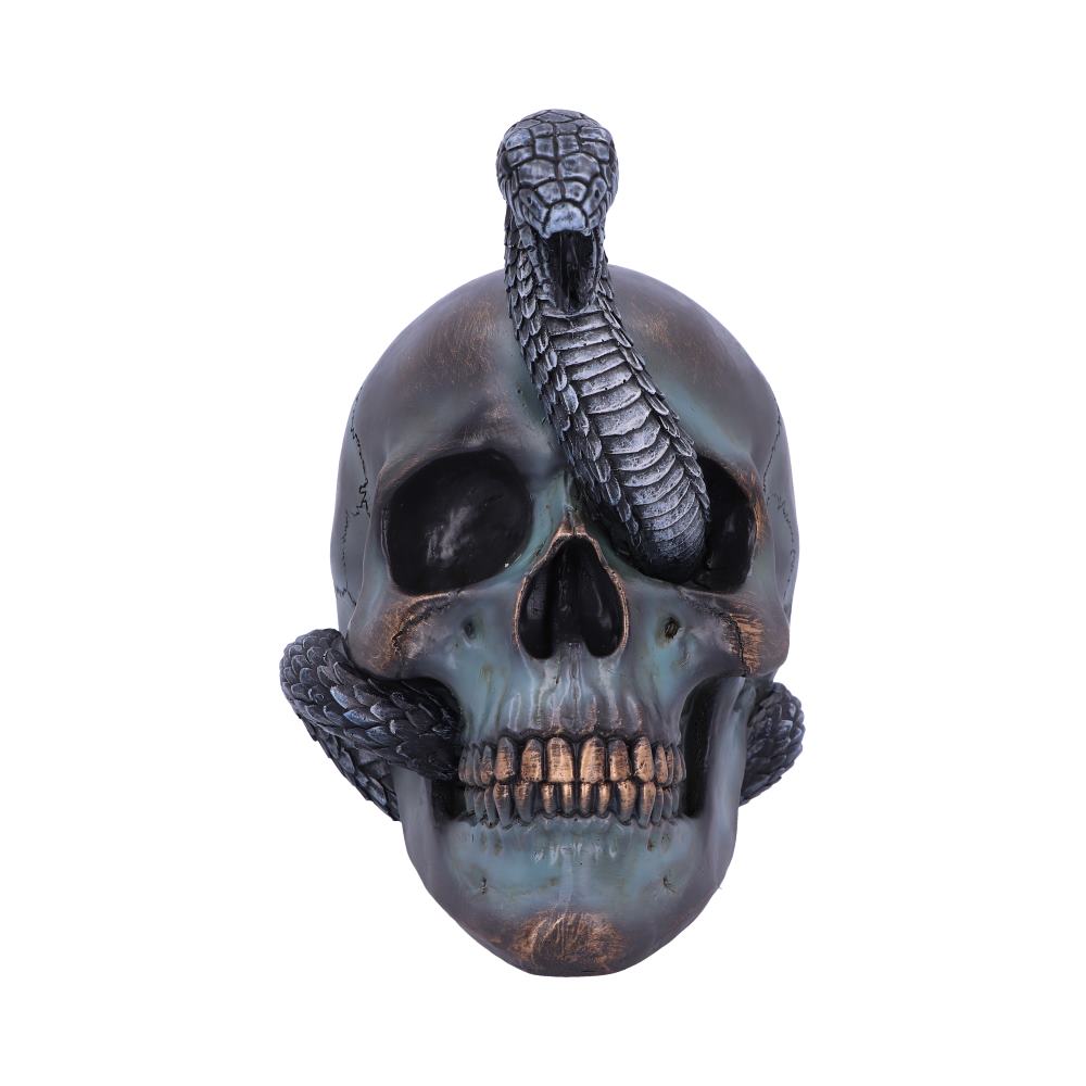 Serpentine Fate Gothic Snake Skull 19cm 2