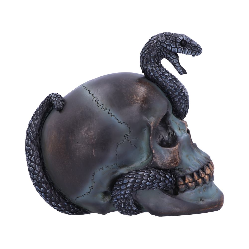Serpentine Fate Gothic Snake Skull 19cm 4