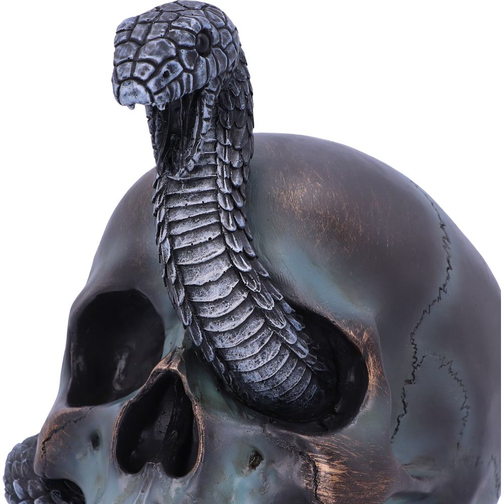 Serpentine Fate Gothic Snake Skull 19cm 5