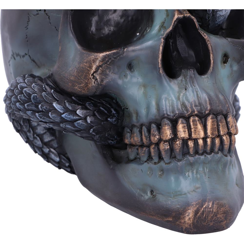 Serpentine Fate Gothic Snake Skull 19cm 6