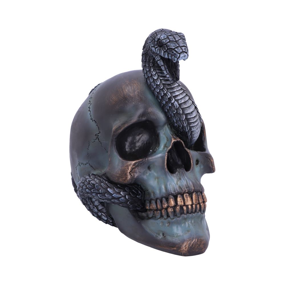 Serpentine Fate Gothic Snake Skull 19cm 1