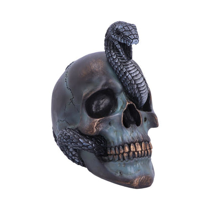 Serpentine Fate Gothic Snake Skull 19cm 1
