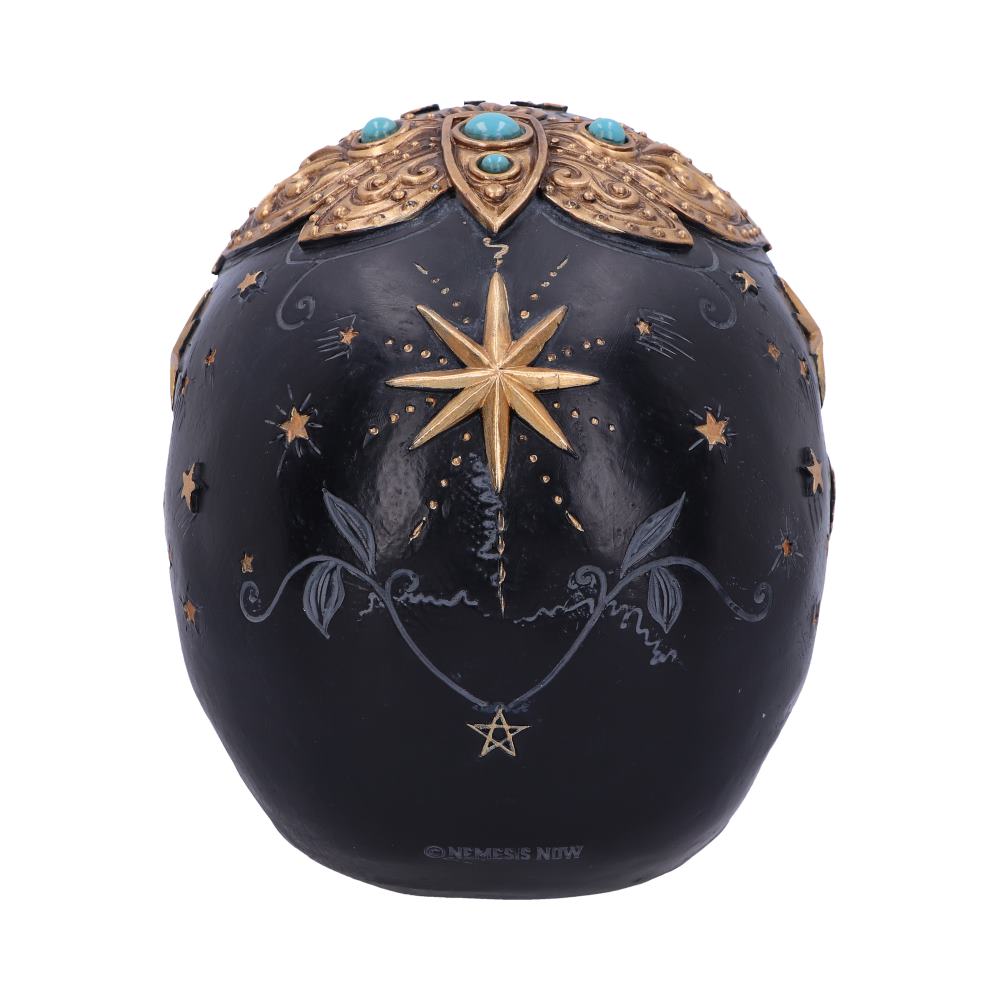 Destiny Palmistry Skull 18cm Resin Statue 3