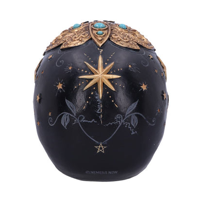 Destiny Palmistry Skull 18cm Resin Statue 3