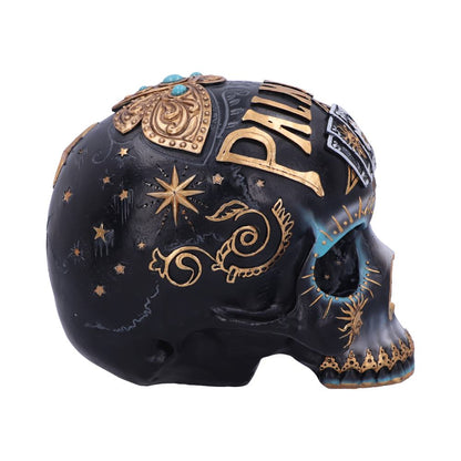 Destiny Palmistry Skull 18cm Resin Statue 4