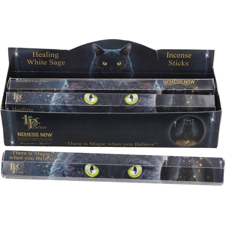 White Sage Scented Healing Incense Sticks 5