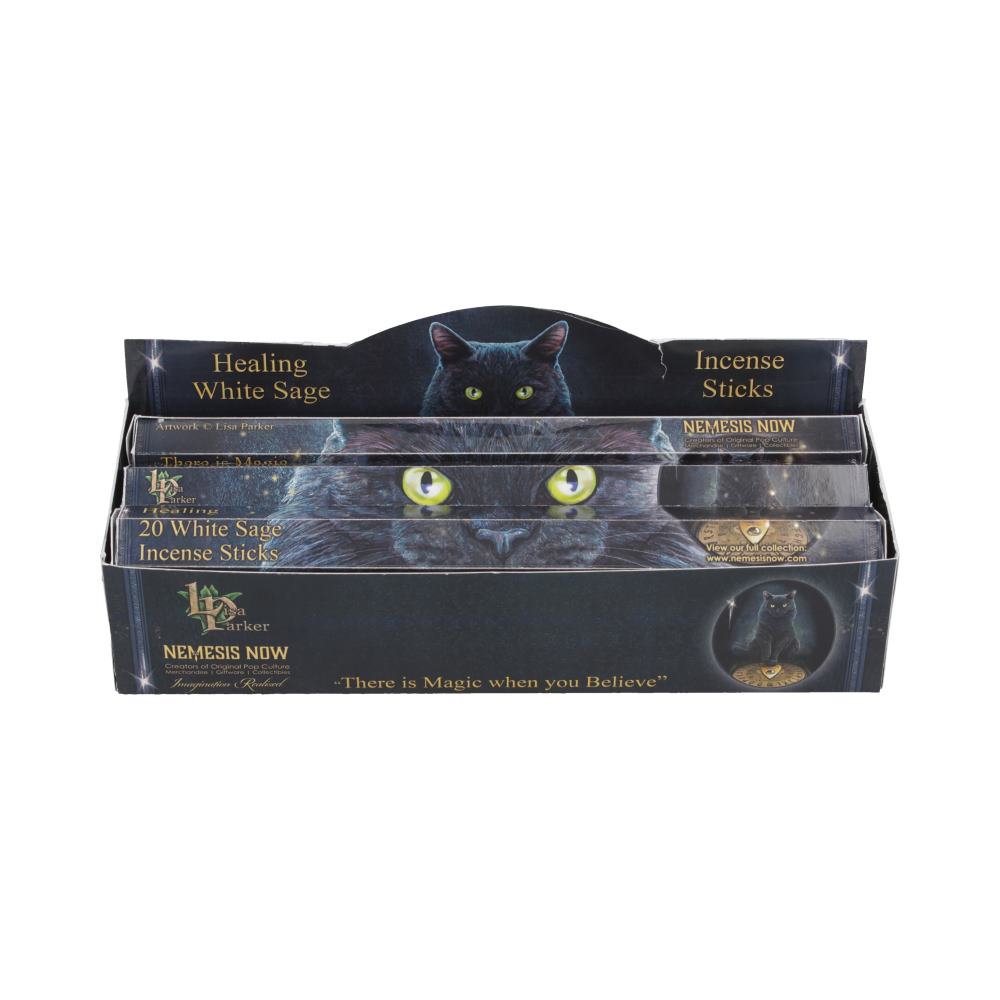 White Sage Scented Healing Incense Sticks 1