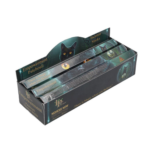 Lisa Parker Patchouli Scented Empowerment Incense Sticks 2