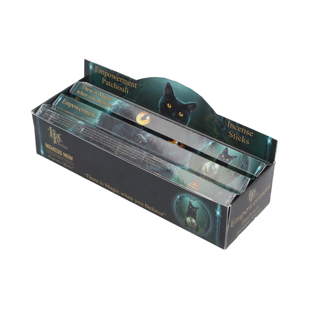 Lisa Parker Patchouli Scented Empowerment Incense Sticks 3