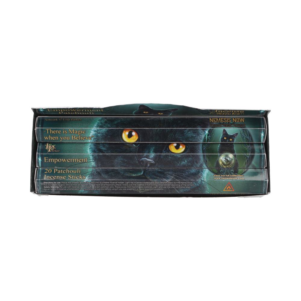 Lisa Parker Patchouli Scented Empowerment Incense Sticks 4
