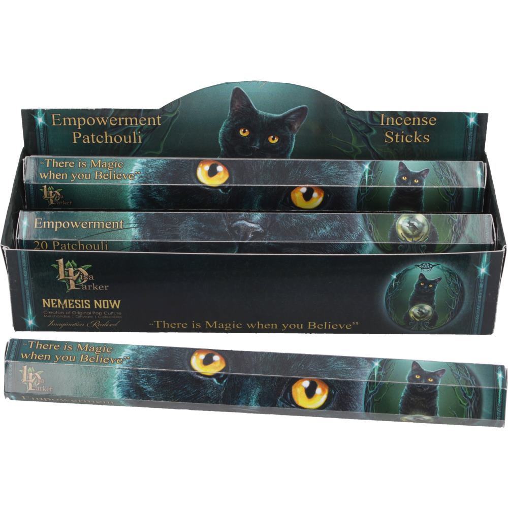 Lisa Parker Patchouli Scented Empowerment Incense Sticks 5