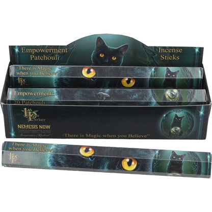 Lisa Parker Patchouli Scented Empowerment Incense Sticks 5