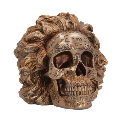 The Theory of Relativity Bronze Einstein Skull 21cm 1