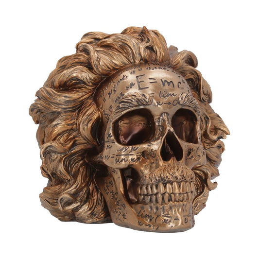 The Theory of Relativity Bronze Einstein Skull 21cm 1