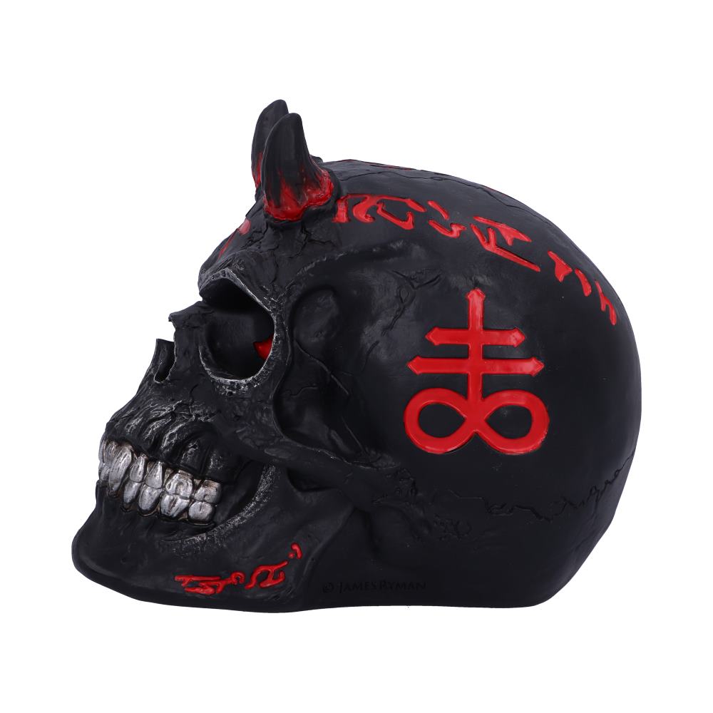Infernal Skull 20cm Resin Statue by James Ryman 3