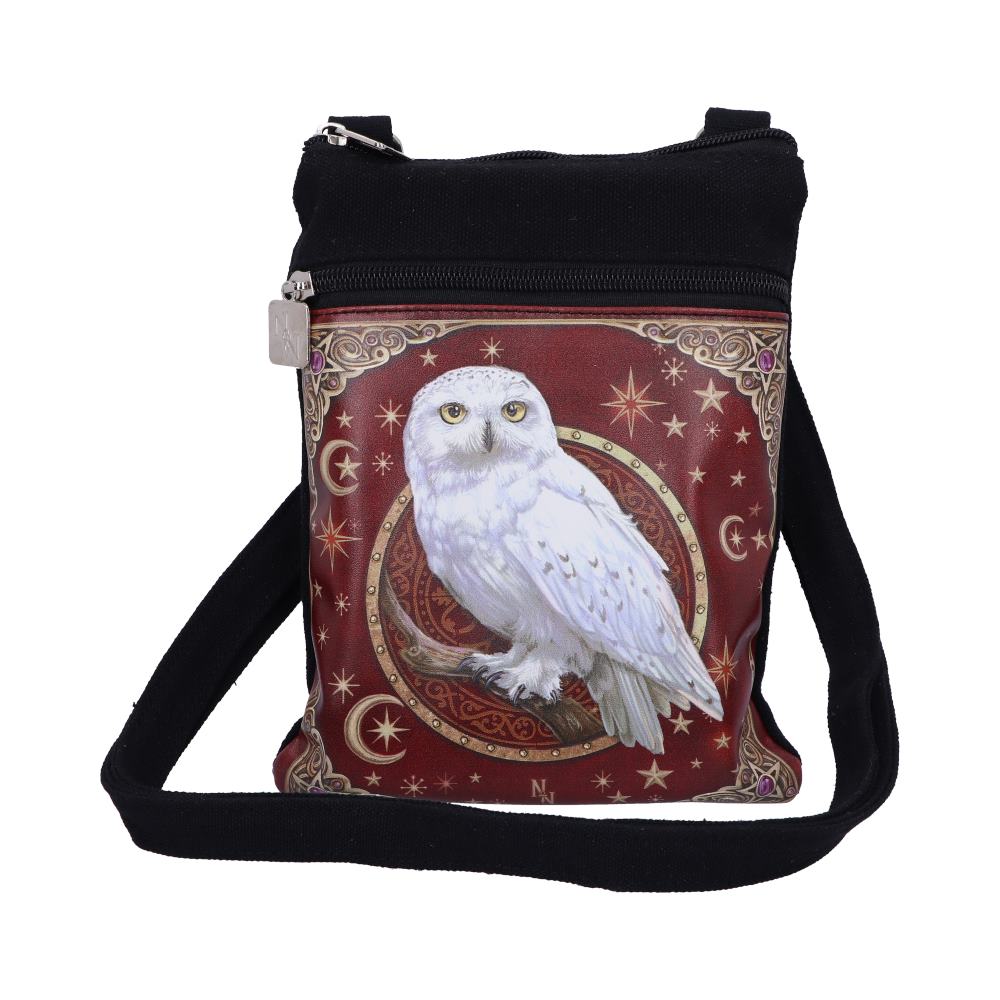 Magical Flight Shoulder Bag 23cm 1