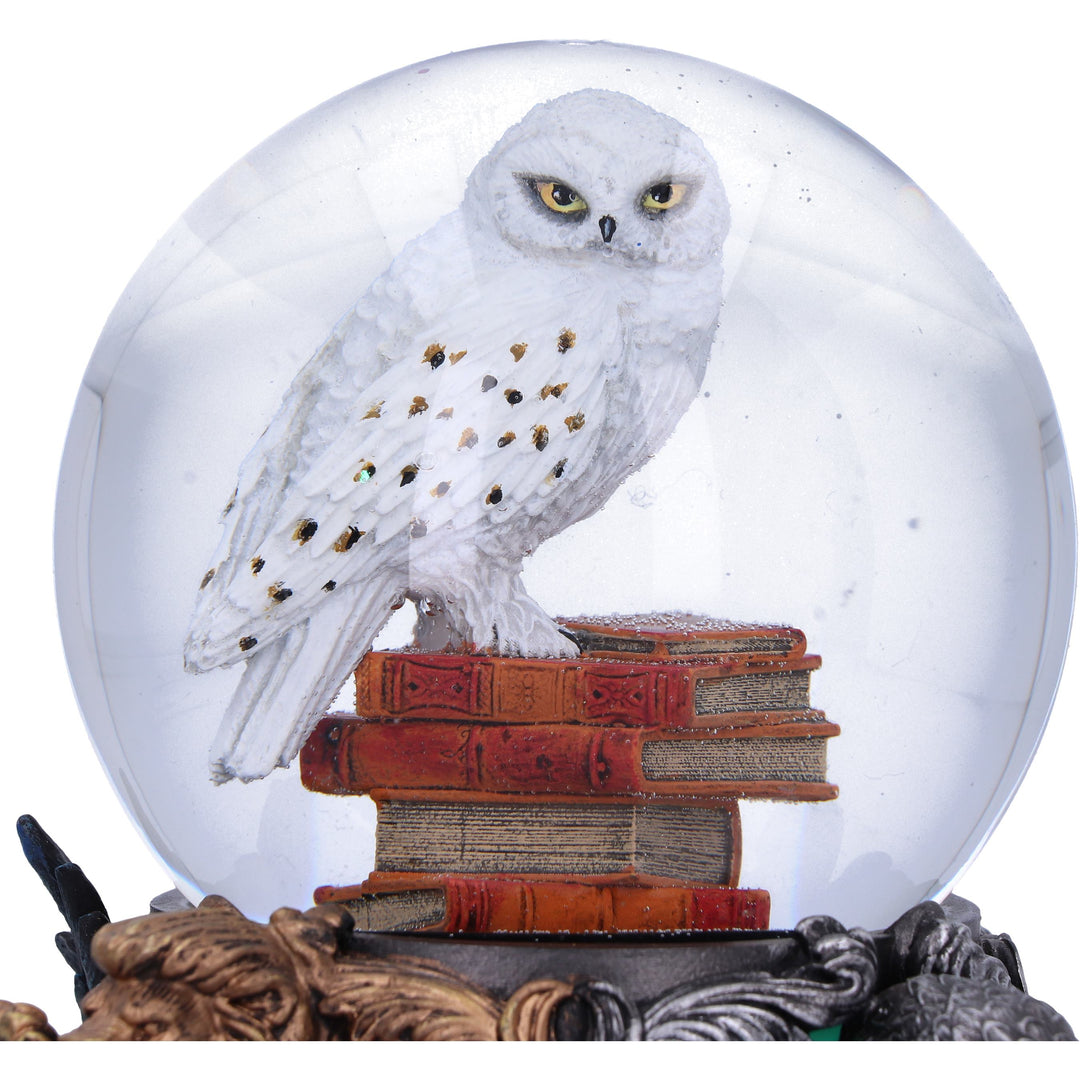 Harry Potter Hedwig Snow Globe 18.5cm Officially Licensed