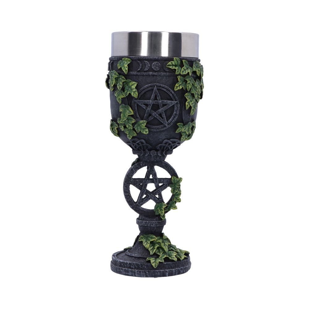 Aged Wiccan Pentagram Goblet 19.5cm 1
