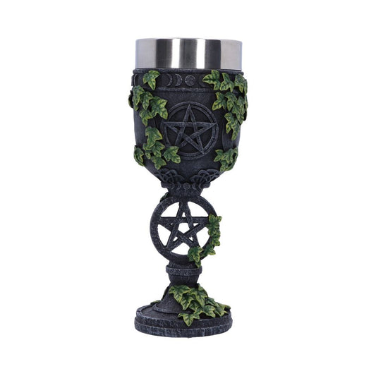 Aged Wiccan Pentagram Goblet 19.5cm 1