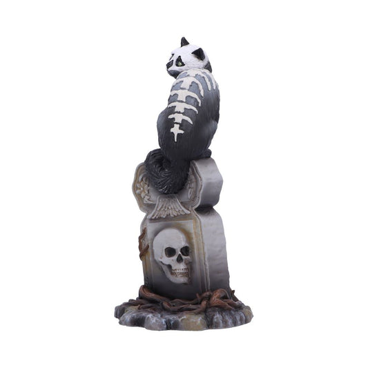 Gothic Skull Cat by Martin Hanford 15cm 2