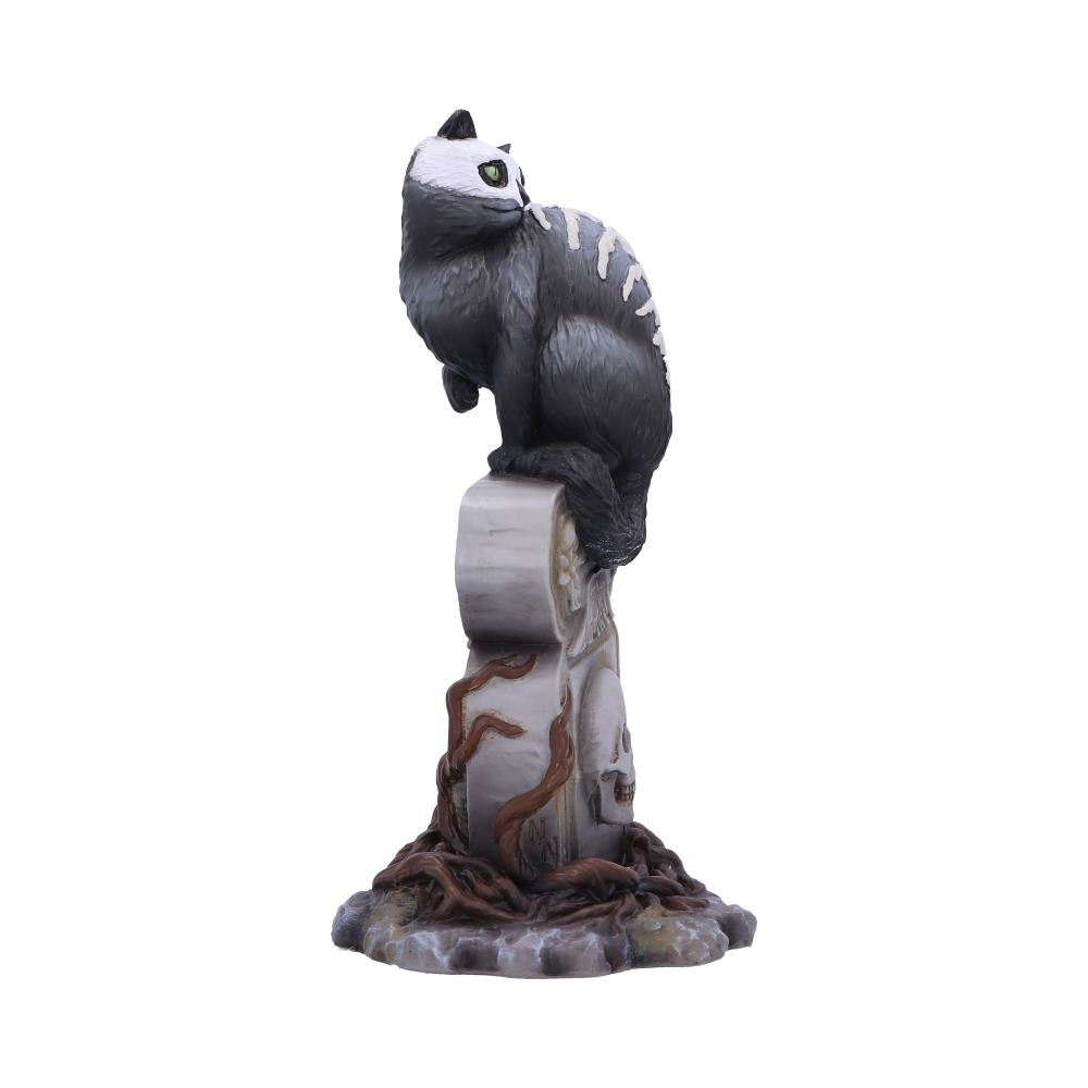 Gothic Skull Cat by Martin Hanford 15cm 4