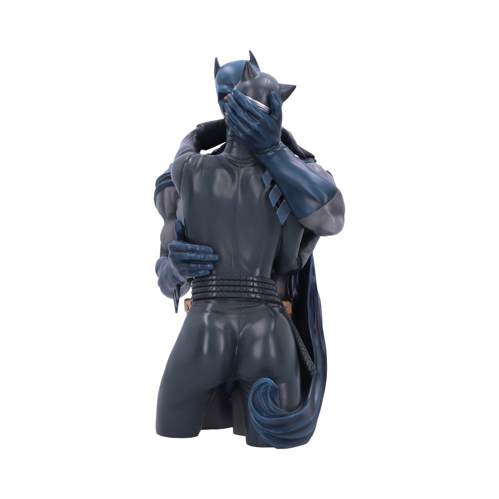 Batman Catwoman DC Collectible Bust 30cm 3