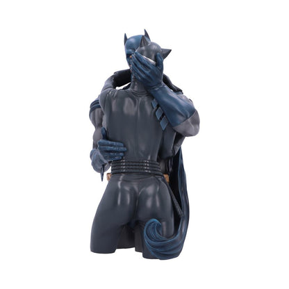 Batman Catwoman DC Collectible Bust 30cm 3