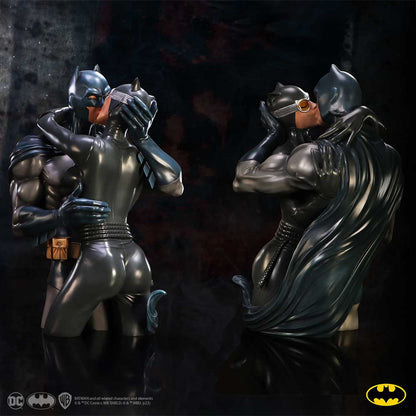 Batman Catwoman DC Collectible Bust 30cm 8