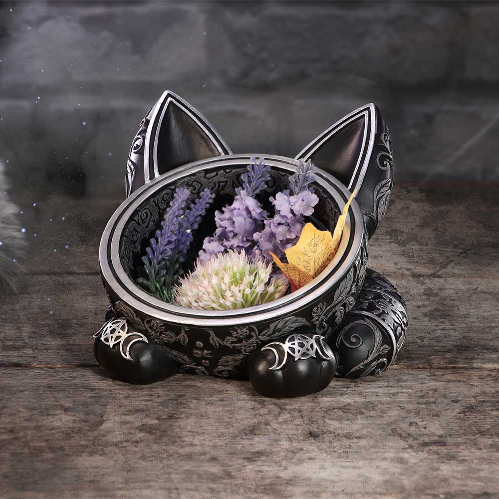 Black Cat Magic Trinket Bowl 16cm 9
