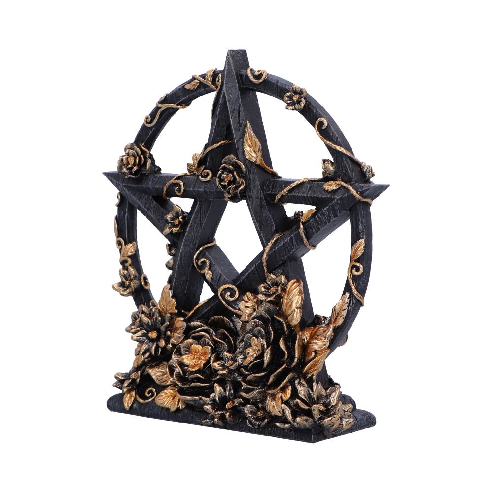 Dark Floral Decorative Pentagram Ornament 16.5cm 2