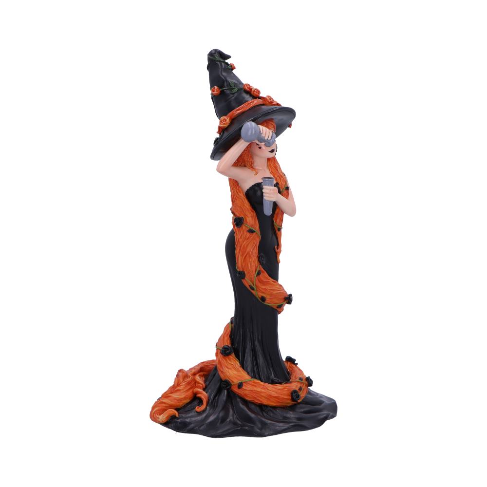 Cinnamon Sugar Spice Witch Figurine 23.5cm 4