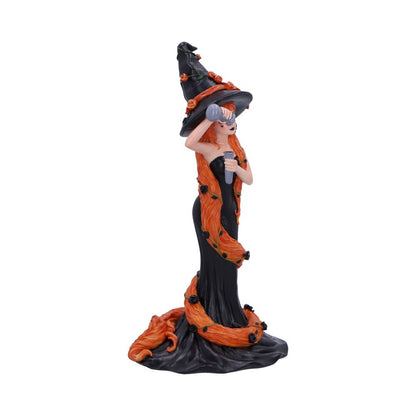 Cinnamon Sugar Spice Witch Figurine 23.5cm 4