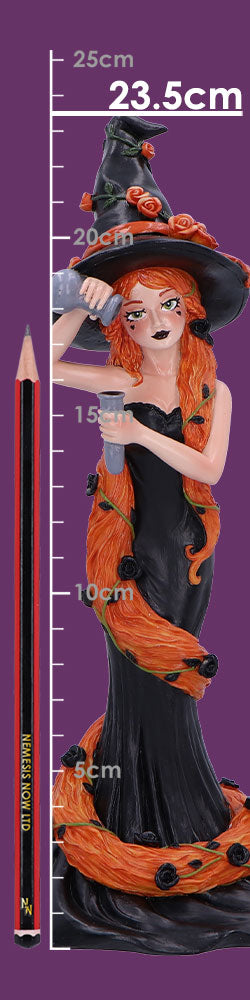 Cinnamon Sugar Spice Witch Figurine 23.5cm 8