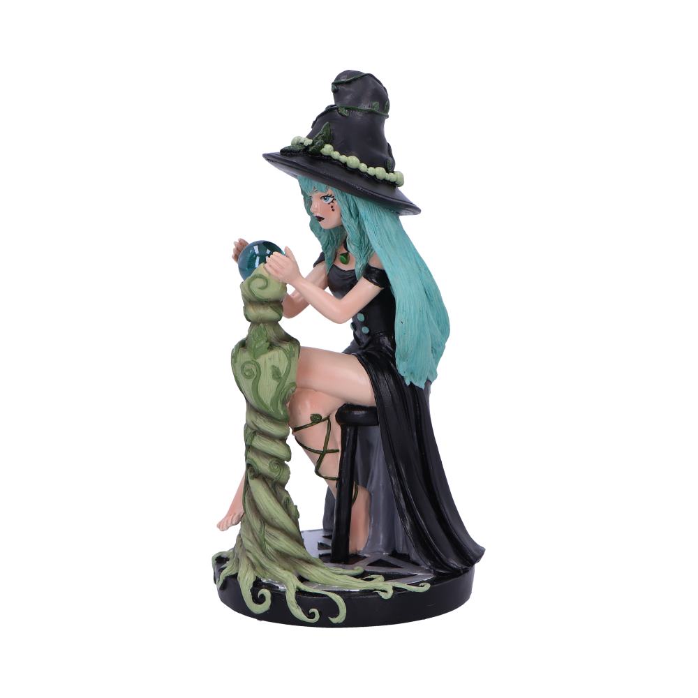 Sage Sugar Spice Witch Figurine 17.5cm 2